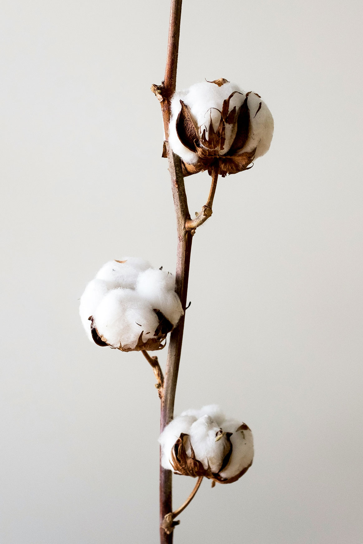 Casacca, casacca donna, casacca da lavoro, divise personale domestico, abbigliamento professionale, divise Milano