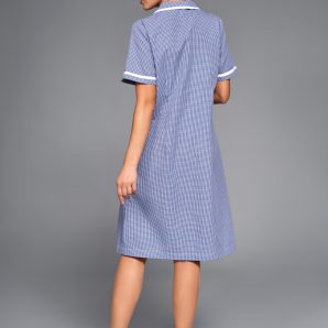 Denise-quadretto-blu-dietro