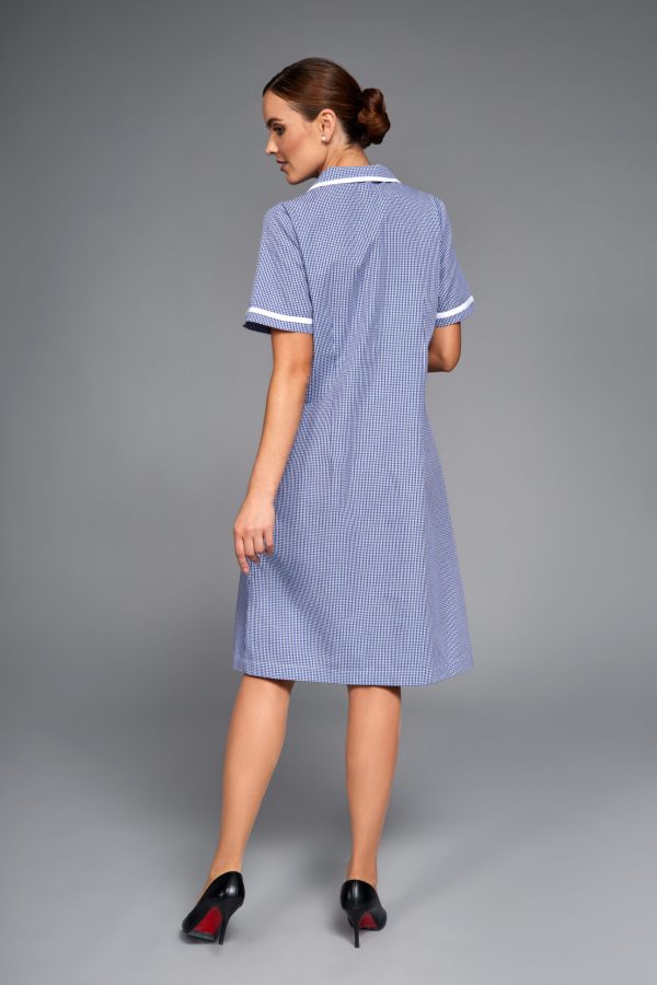 Denise-quadretto-blu-dietro Denise-quadretto-blu-dietro