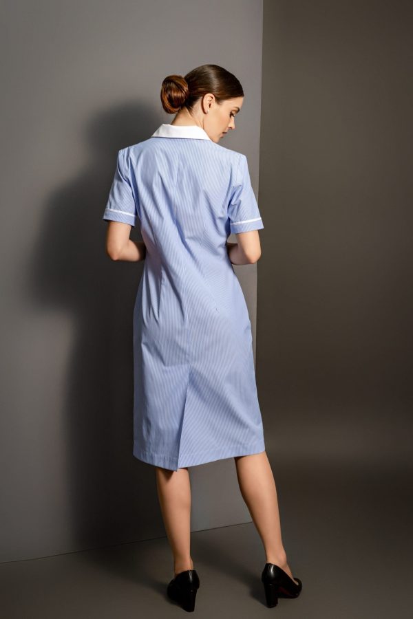 Evelyn-stripe-blue-retro Evelyn-stripe-blue-retro